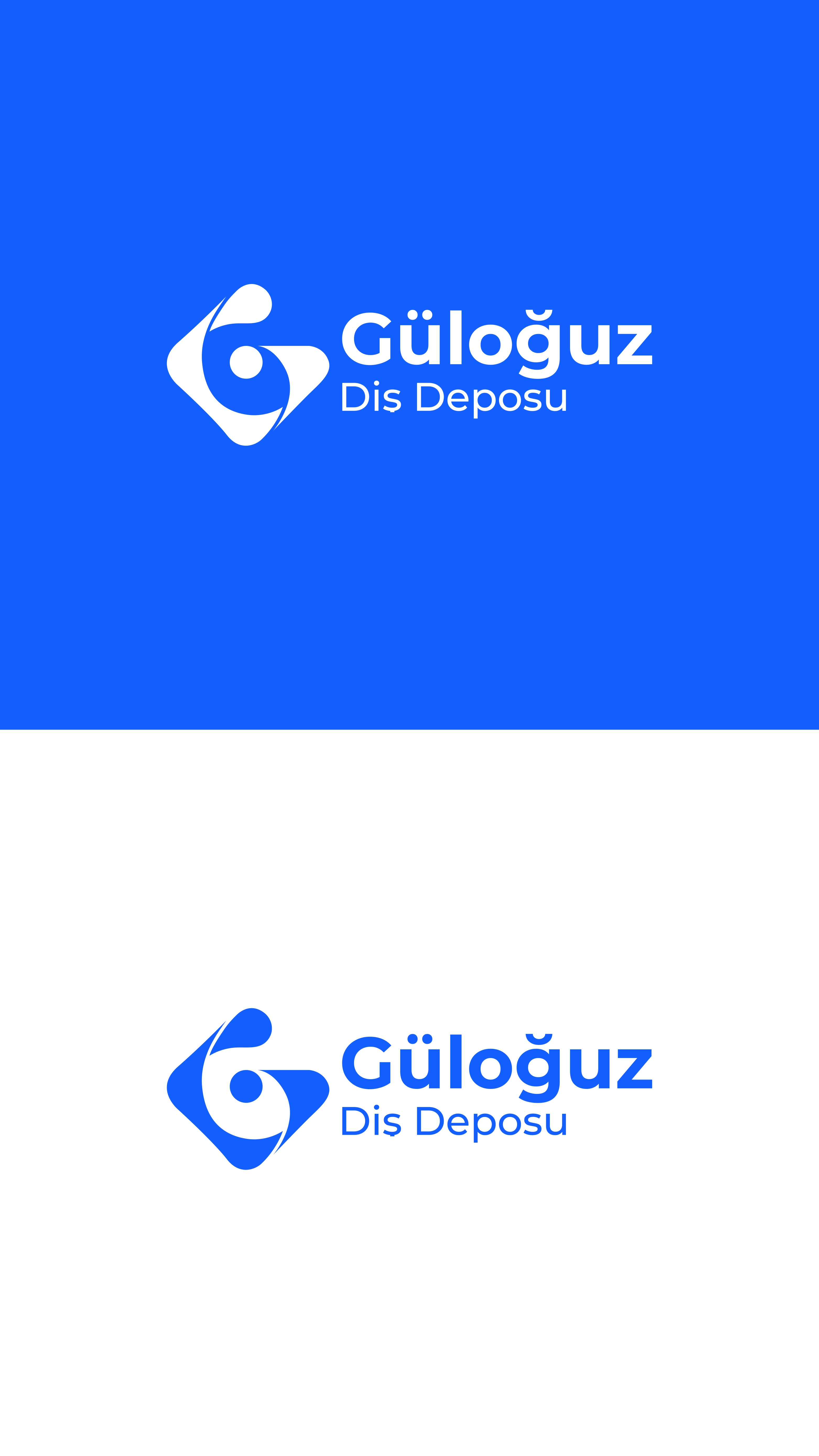GÜLOĞUZ DİŞ DEPOSU TİC. PAZ. LTD. ŞTİ.
